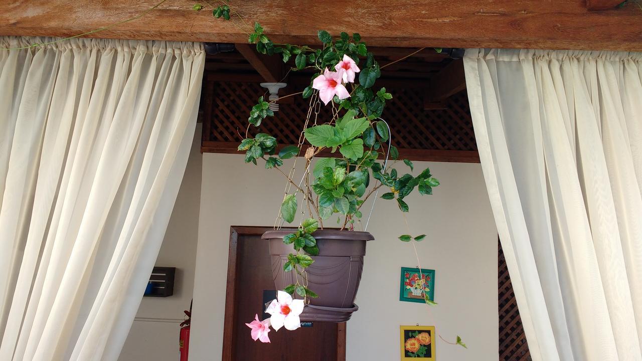 Open Hotel Telemaco Borba Exterior photo